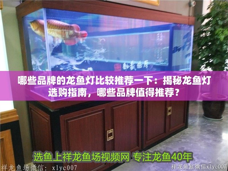 哪些品牌的龍魚燈比較推薦一下：揭秘龍魚燈選購指南，哪些品牌值得推薦？