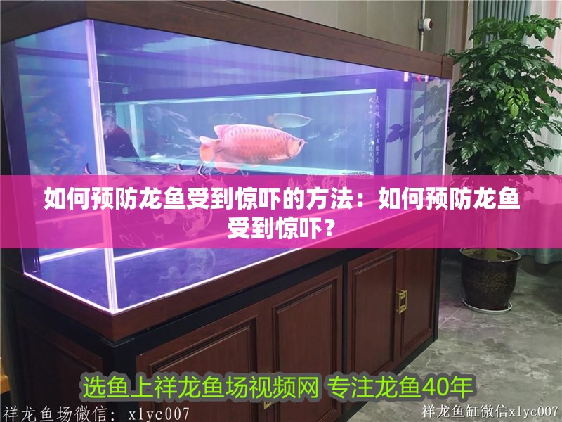 如何預(yù)防龍魚受到驚嚇的方法：如何預(yù)防龍魚受到驚嚇？