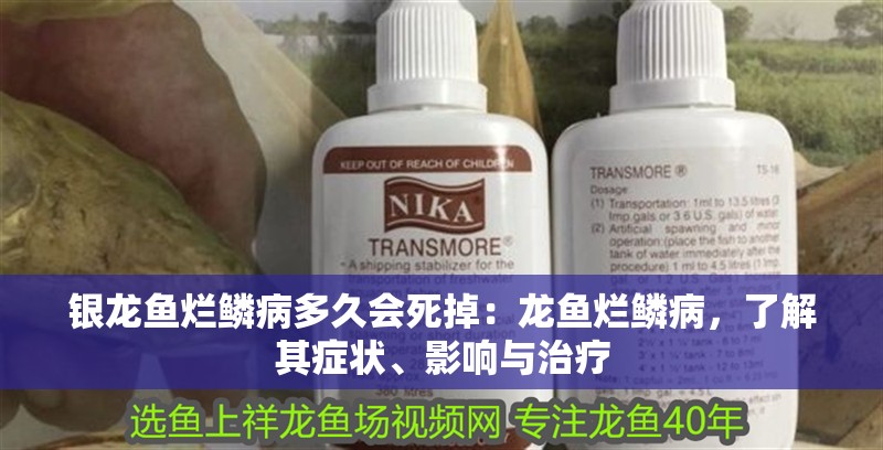 銀龍魚爛鱗病多久會死掉：龍魚爛鱗病，了解其癥狀、影響與治療