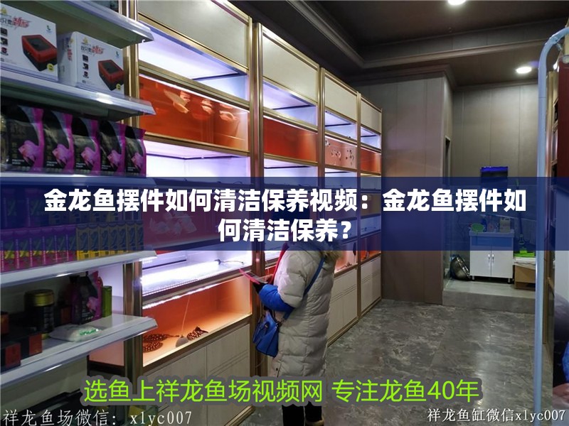 金龍魚擺件如何清潔保養視頻：金龍魚擺件如何清潔保養？