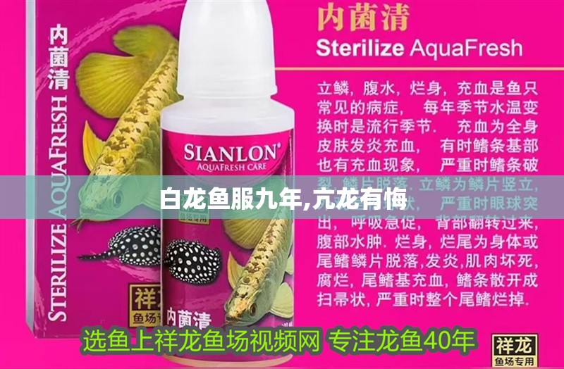 白龍魚服九年,亢龍有悔