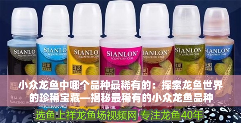 小眾龍魚中哪個品種最稀有的：探索龍魚世界的珍稀寶藏—揭秘最稀有的小眾龍魚品種