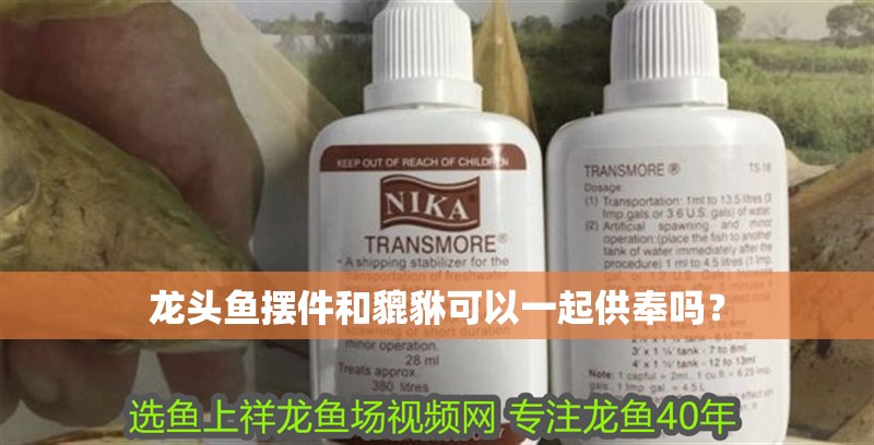 龍頭魚擺件和貔貅可以一起供奉嗎？