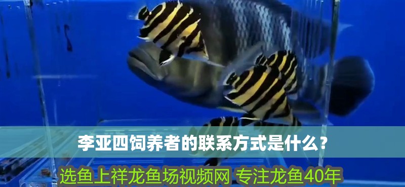 李亞四飼養(yǎng)者的聯(lián)系方式是什么？