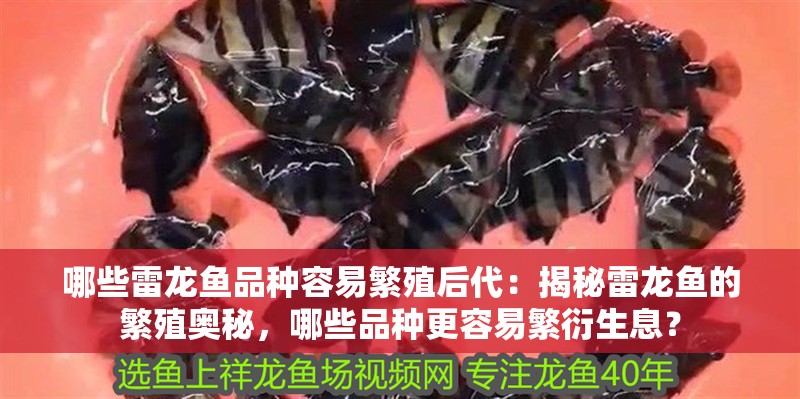 哪些雷龍魚品種容易繁殖后代：揭秘雷龍魚的繁殖奧秘，哪些品種更容易繁衍生息？