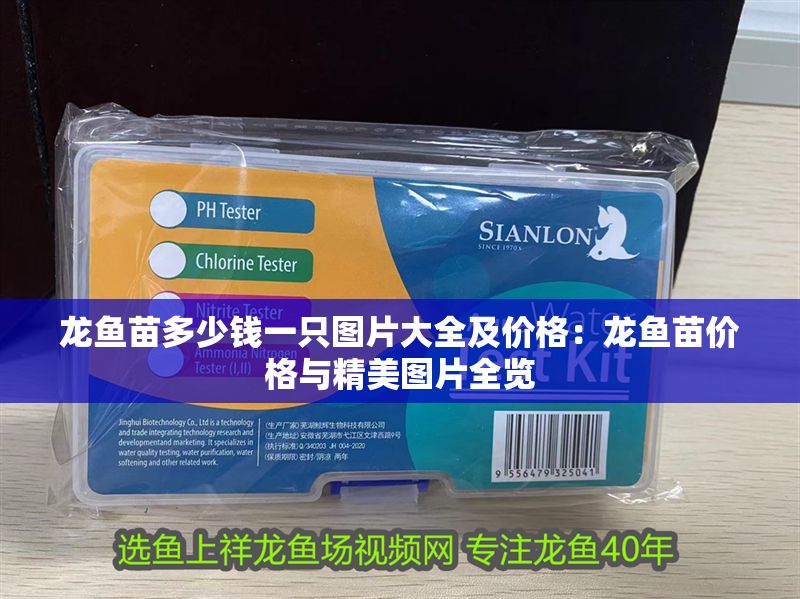 龍魚苗多少錢一只圖片大全及價格：龍魚苗價格與精美圖片全覽