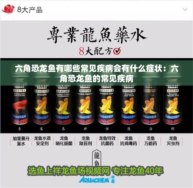 六角恐龍魚有哪些常見疾病會有什么癥狀：六角恐龍魚的常見疾病