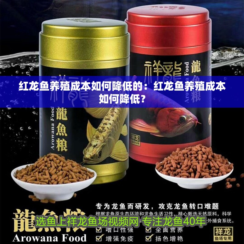 紅龍魚養殖成本如何降低的：紅龍魚養殖成本如何降低？
