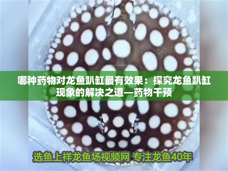 哪種藥物對龍魚趴缸最有效果：探究龍魚趴缸現象的解決之道—藥物干預