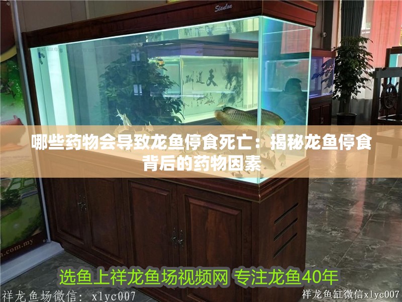 哪些藥物會導致龍魚停食死亡：揭秘龍魚停食背后的藥物因素