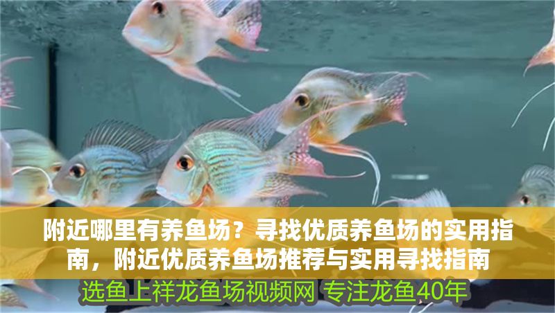 附近哪里有養魚場？尋找優質養魚場的實用指南，附近優質養魚場推薦與實用尋找指南