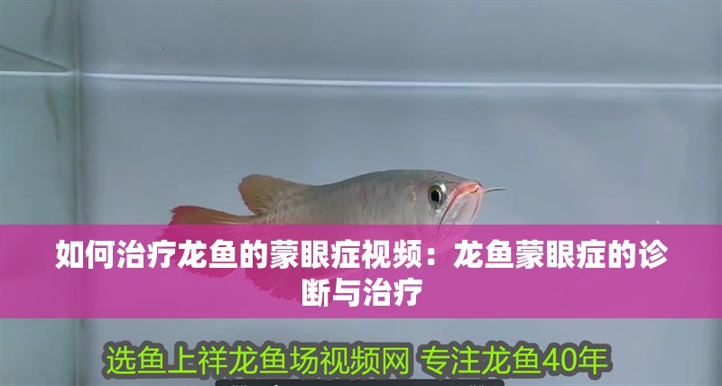 如何治療龍魚(yú)的蒙眼癥視頻：龍魚(yú)蒙眼癥的診斷與治療