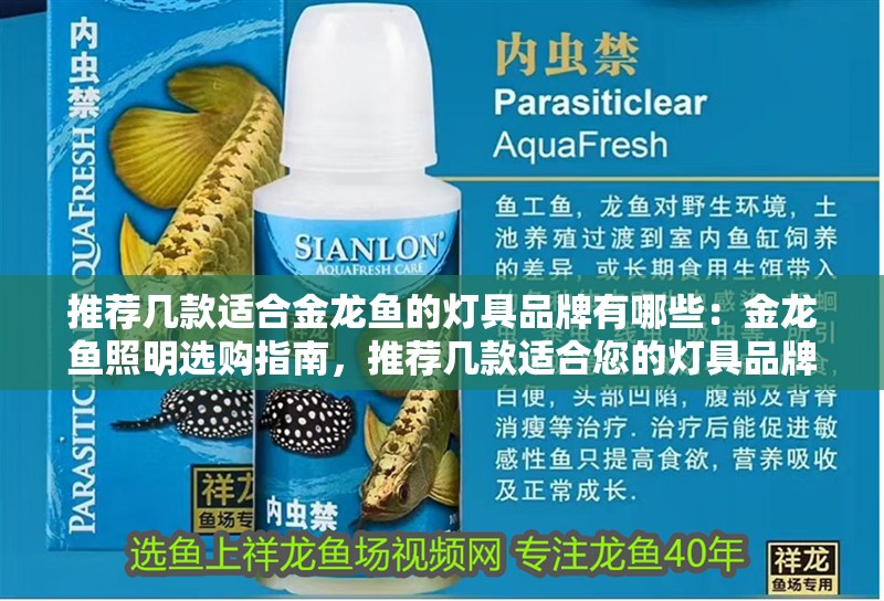 魚缸過濾器選購指南:自制魚缸過濾器魚缸上置過濾器對于養魚愛好者的必備知識 推薦幾款適合金龍魚的燈具品牌有哪些:金龍魚照明選購指南,推薦幾款適合您的燈具品牌 水族問答 推薦幾款適合金龍魚的燈具品牌有哪些:金龍魚照明選購指南,推薦幾款適合您的燈具品牌 推薦幾款適合金龍魚的燈具品牌有哪些:金龍魚照明選購指南,推薦幾款適合您的燈具品牌 水族問答