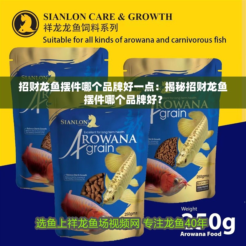 招財龍魚擺件哪個品牌好一點：揭秘招財龍魚擺件哪個品牌好？