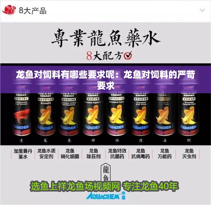 龍魚對飼料有哪些要求呢：龍魚對飼料的嚴苛要求