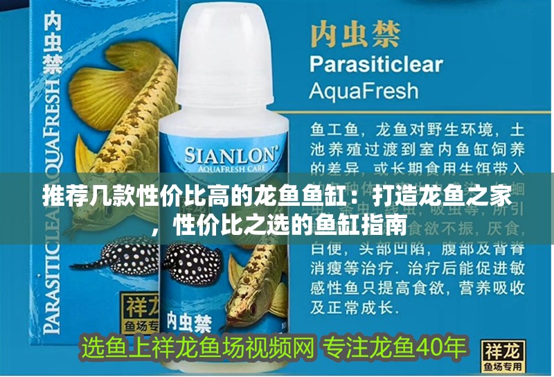 推薦幾款性價(jià)比高的龍魚魚缸：打造龍魚之家，性價(jià)比之選的魚缸指南