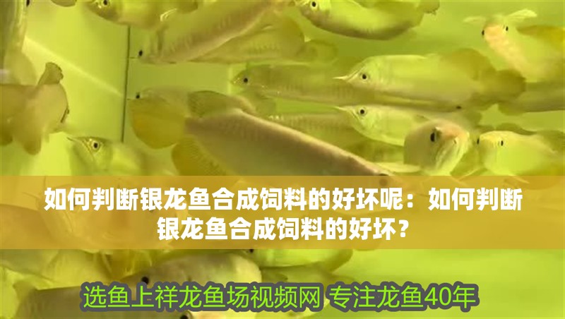 如何判斷銀龍魚合成飼料的好壞呢：如何判斷銀龍魚合成飼料的好壞？