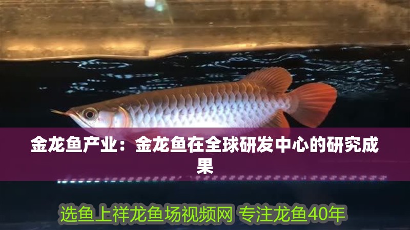 金龍魚產業：金龍魚在全球研發中心的研究成果