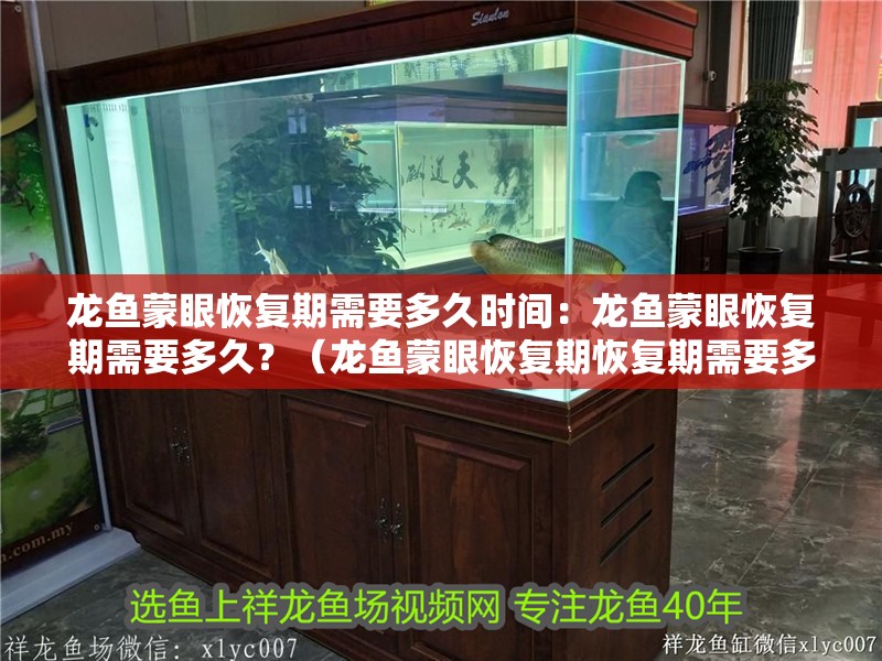龍魚蒙眼恢復期需要多久時間：龍魚蒙眼恢復期需要多久？（龍魚蒙眼恢復期恢復期需要多久）