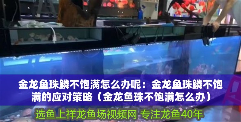 金龍魚珠鱗不飽滿怎么辦呢：金龍魚珠鱗不飽滿的應對策略（金龍魚珠不飽滿怎么辦）