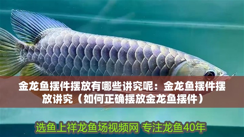 金龍魚擺件擺放有哪些講究呢：金龍魚擺件擺放講究（如何正確擺放金龍魚擺件）
