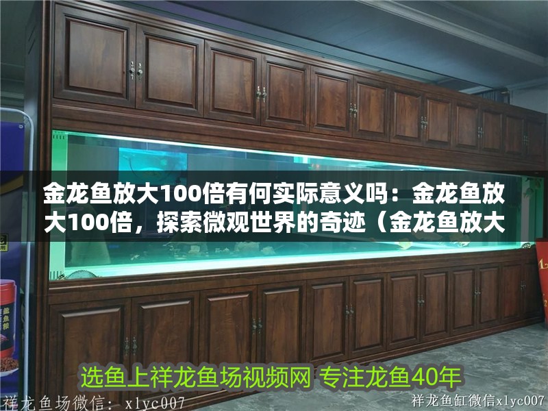 金龍魚放大100倍有何實際意義嗎：金龍魚放大100倍，探索微觀世界的奇跡（金龍魚放大100倍后）