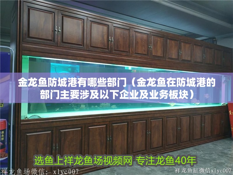 金龍魚<strong><mark>防城</mark></strong>港有哪些部門（金龍魚在<strong><mark>防城</mark></strong>港的部門主要涉及以下企業及業務板塊）