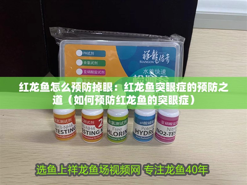 紅龍魚怎么預防掉眼：紅龍魚突眼癥的預防之道（如何預防紅龍魚的突眼癥）