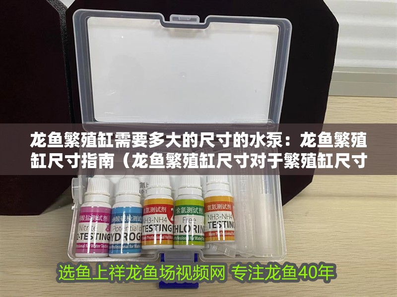 龍魚繁殖缸需要多大的尺寸的水泵：龍魚繁殖缸尺寸指南（龍魚繁殖缸尺寸對于繁殖缸尺寸的重要性，龍魚繁殖缸尺寸的建議）