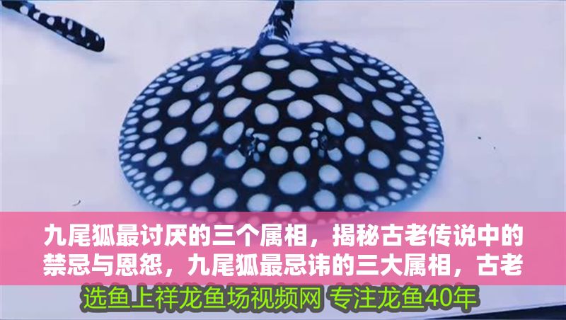 九尾狐最討厭的三個(gè)屬相，揭秘古老傳說(shuō)中的禁忌與恩怨，九尾狐最忌諱的三大屬相，古老傳說(shuō)揭示的恩怨禁忌