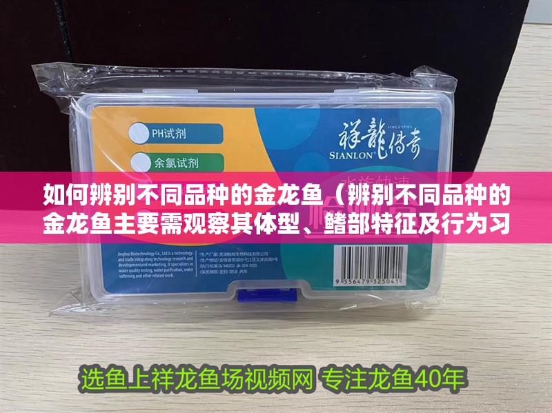 如何辨別不同品種的金龍魚（辨別不同品種的金龍魚主要需觀察其體型、鰭部特征及行為習性）