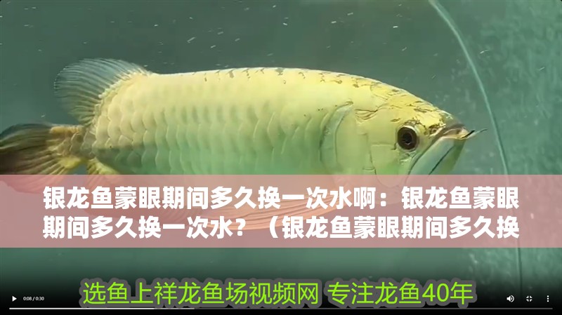銀龍魚蒙眼期間多久換一次水啊：銀龍魚蒙眼期間多久換一次水？（銀龍魚蒙眼期間多久換一次水）