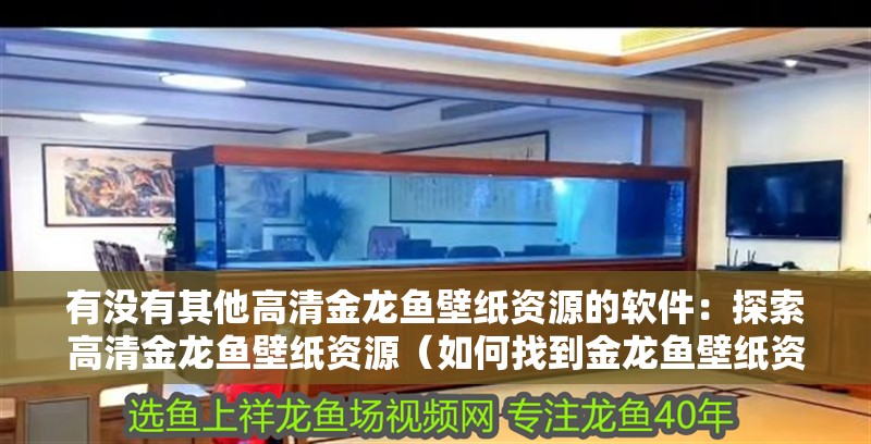 有沒有其他高清金龍魚壁紙資源的軟件：探索高清金龍魚壁紙資源（如何找到金龍魚壁紙資源）