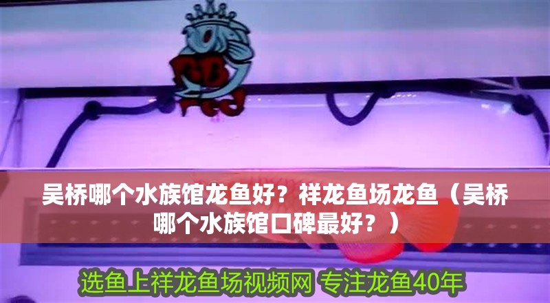 吳橋哪個(gè)水族館龍魚好？祥龍魚場龍魚（吳橋哪個(gè)水族館口碑最好？）