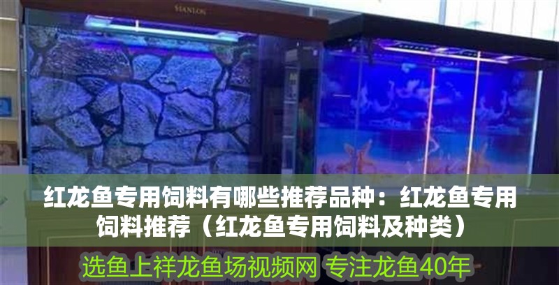 紅龍魚專用飼料有哪些推薦品種：紅龍魚專用飼料推薦（紅龍魚專用飼料及種類）