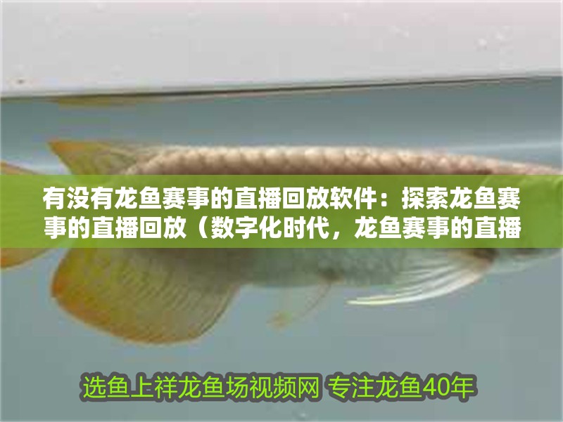 有沒有龍魚賽事的直播回放軟件：探索龍魚賽事的直播回放（數字化時代，龍魚賽事的直播回放軟件直播回放軟件）