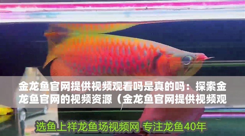 金龍魚官網提供視頻觀看嗎是真的嗎：探索金龍魚官網的視頻資源（金龍魚官網提供視頻觀看服務是否提供視頻觀看服務）