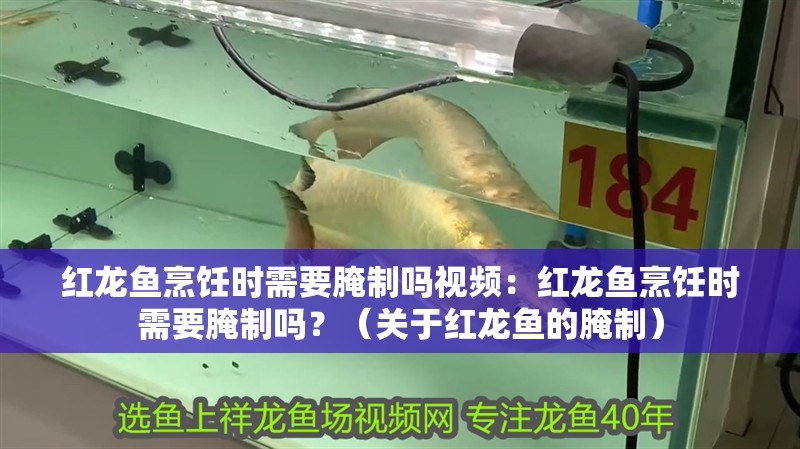 紅龍魚烹飪時需要腌制嗎視頻：紅龍魚烹飪時需要腌制嗎？（關于紅龍魚的腌制）