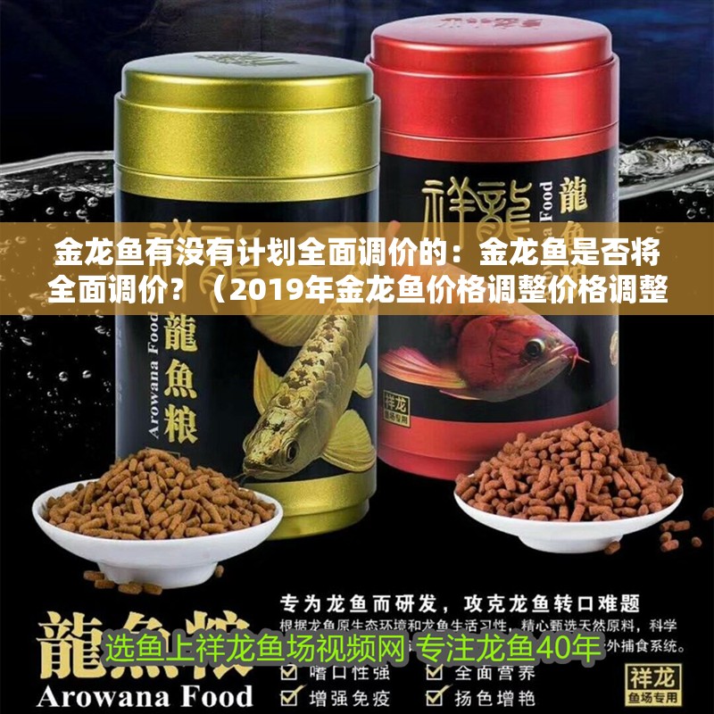 金龍魚有沒有計(jì)劃全面調(diào)價(jià)的：金龍魚是否將全面調(diào)價(jià)？（2019年金龍魚價(jià)格調(diào)整價(jià)格調(diào)整無疑會(huì)影響金龍魚市場(chǎng)）