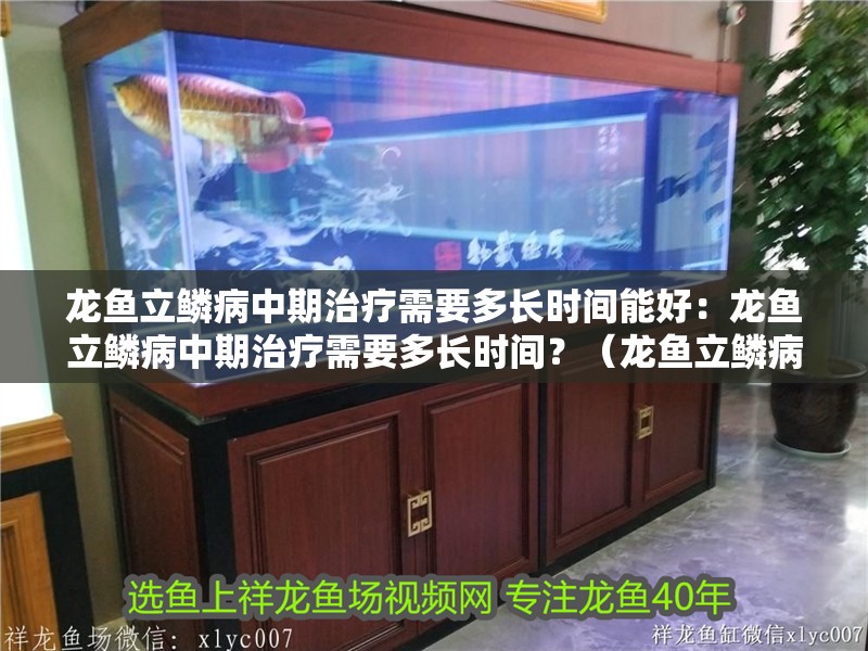 龍魚立鱗病中期治療需要多長時間能好：龍魚立鱗病中期治療需要多長時間？（龍魚立鱗病中期治療所需時間）