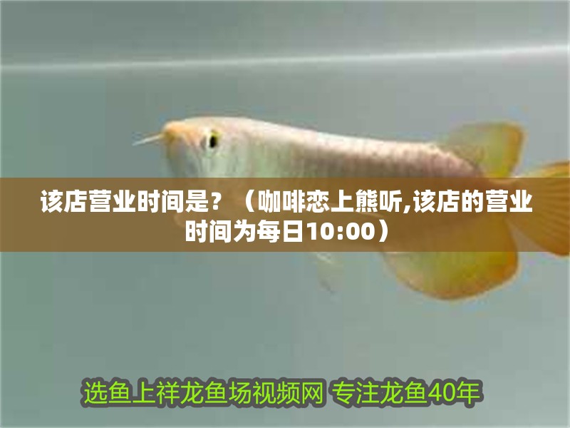 該店?duì)I業(yè)時(shí)間是？（咖啡戀上熊聽(tīng),該店的營(yíng)業(yè)時(shí)間為每日10:00）