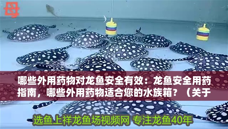 哪些外用藥物對(duì)龍魚安全有效：龍魚安全用藥指南，哪些外用藥物適合您的水族箱？（關(guān)于龍魚的外用藥物使用的注意事項(xiàng)）