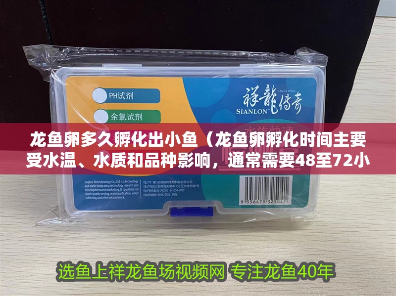 龍魚(yú)卵多久孵化出小魚(yú)（龍魚(yú)卵孵化時(shí)間主要受水溫、水質(zhì)和品種影響，通常需要48至72小時(shí)）