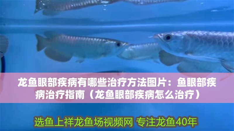 龍魚眼部疾病有哪些治療方法圖片：魚眼部疾病治療指南（龍魚眼部疾病怎么治療）