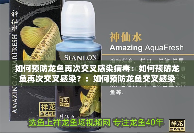 如何預防龍魚再次交叉感染病毒：如何預防龍魚再次交叉感染？：如何預防龍魚交叉感染