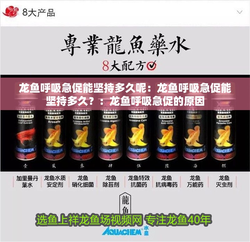 龍魚呼吸急促能堅(jiān)持多久呢：龍魚呼吸急促能堅(jiān)持多久？：龍魚呼吸急促的原因