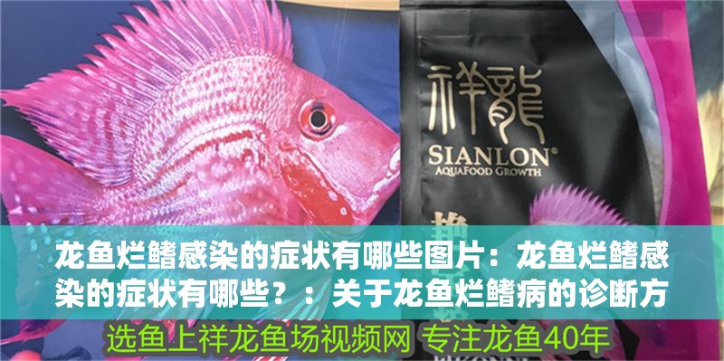 龍魚爛鰭感染的癥狀有哪些圖片：龍魚爛鰭感染的癥狀有哪些？：關于龍魚爛鰭病的診斷方法