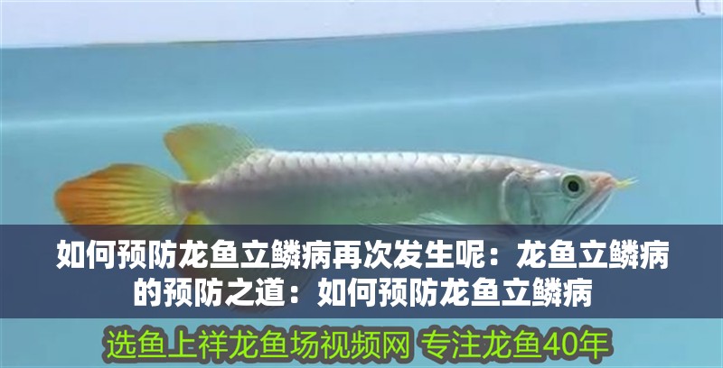 如何預防龍魚立鱗病再次發生呢：龍魚立鱗病的預防之道：如何預防龍魚立鱗病