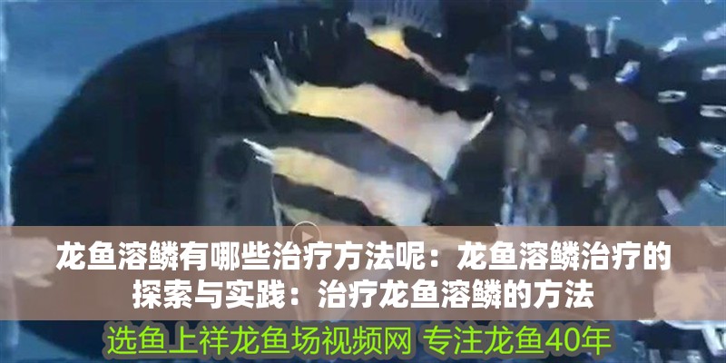 龍魚溶鱗有哪些治療方法呢：龍魚溶鱗治療的探索與實踐：治療龍魚溶鱗的方法