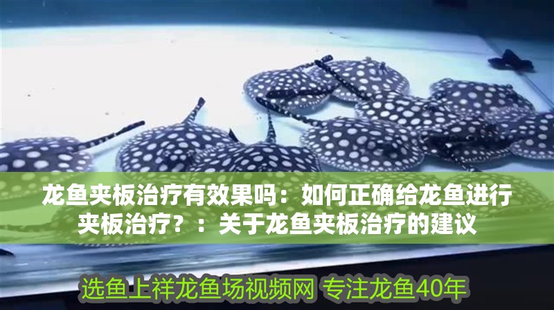 龍魚(yú)夾板治療有效果嗎：如何正確給龍魚(yú)進(jìn)行夾板治療？：關(guān)于龍魚(yú)夾板治療的建議